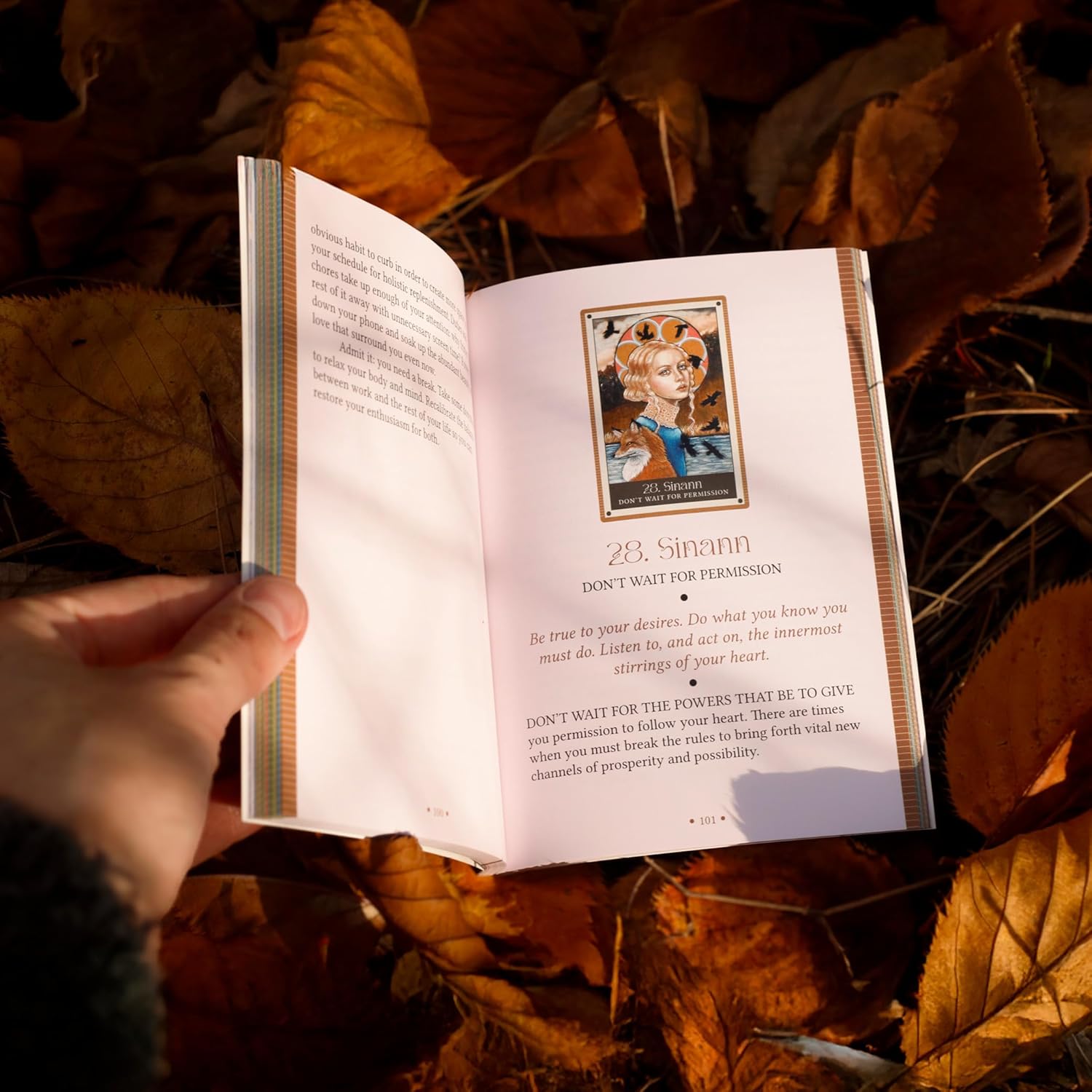 The Wild Witch Oracle: Shapeshifters, Rebels, and Queens